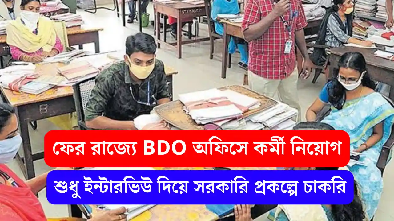 Bdo office accountant recruitment