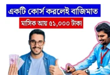 Data Analytic Income Source