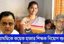 Primary Teachers Recruitment