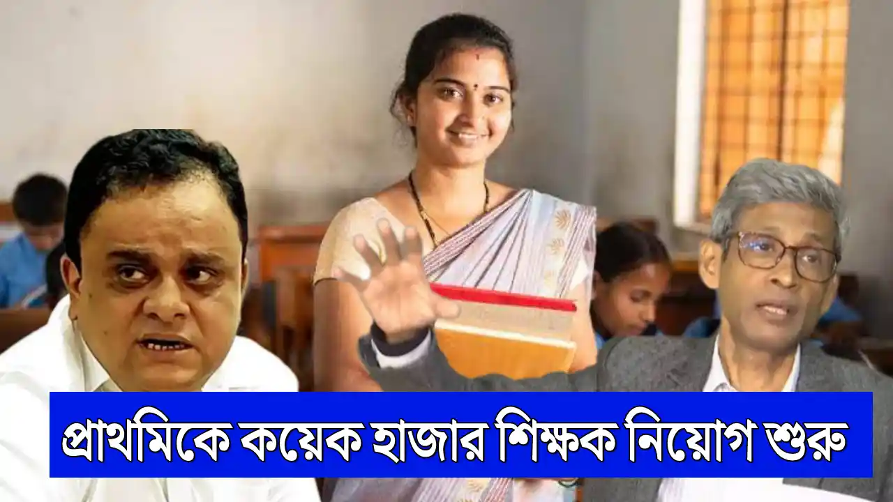 Primary Teachers Recruitment